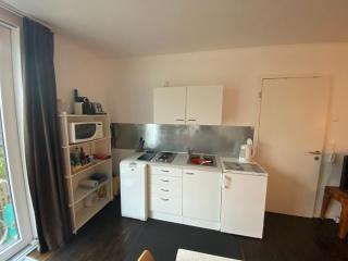Studio with private garden & free parking - Köniz - 1