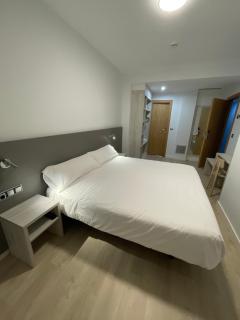 Hostal Pirineos Ainsa - Aínsa - 3