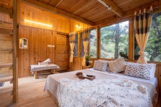 The Picturesque Treehouse - Tāndi - 9
