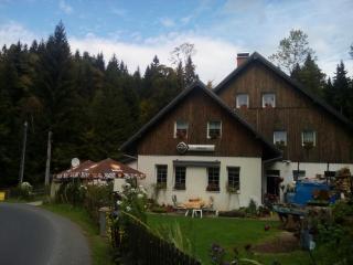 Penzion U Kocoura - Desná - 9
