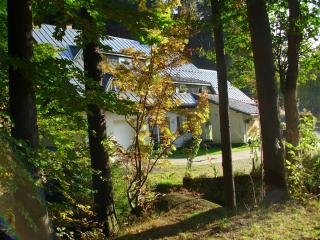 Penzion U Kocoura - Desná - 8