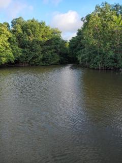 Hostal torres del caribe - 2