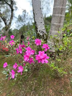 Sítio a 5 min da Villa Germânica - Blumenau - 6