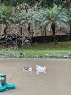 Sítio a 5 min da Villa Germânica - Blumenau - 2