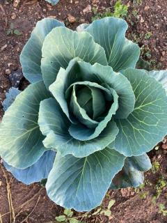 Marsaxlokk Farmstay Equine Centre - 1