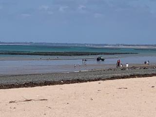Chez Rose, Terrasse Plein Sud! - Donville-les-Bains - 2