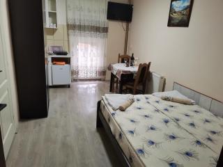 Apartmani cvetkovic - Soko Banja - 1