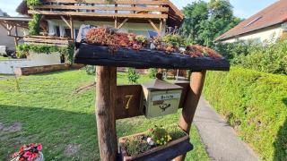 Ole's Nest - 1