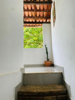 Casa Pau Brasil - 2