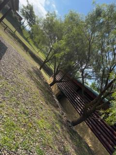 Amanecerenunsueñoyacanto - 1