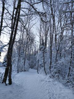 Studio Bernex Dent d'oche - 3