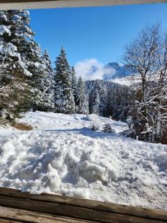Appartement cosy Les Mélèze E - 1