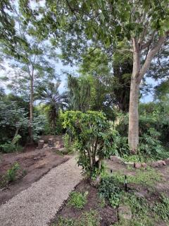 Casa con jardín y parrillero en El Tesoro La Barra - Punta del Este - 3