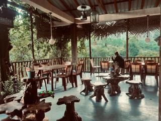 Ella Rock Grun Cottage - 3