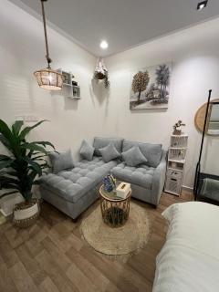 استوديو ريفي بدخول ذاتي - 5