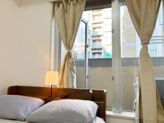 Shinjuku Center新宿中心! 3min walk from subway最近地铁站3分! Shinjuku Kabukicho新宿歌舞伎! 著名连锁大型公寓!314 - Tokyo - 8