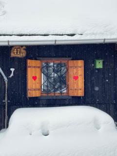 Velika planina - Chalet Stane - Alps - 6