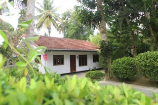 Leon surf - Weligama - 0