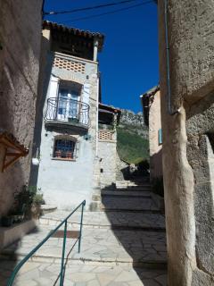 Chardon - Le Mas - 4