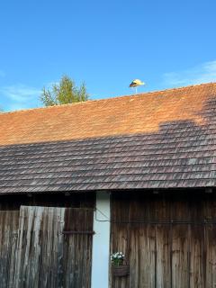 Śpimy u Dziadków - APARTAMENTY BIESZCZADY - - 5