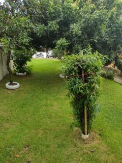 Sítio do sucego - 8