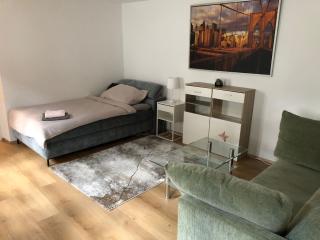 APARTMENT Top 11 ZENTRUM mit 2 Schlafzimmer BESTROOMS eU - Steyr - 8