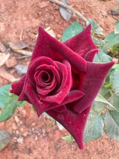 Rahi Resort - - 3
