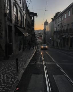 Principe Real Swoonworthy, Pristine, 1BR Cottage - Lisbon - 6