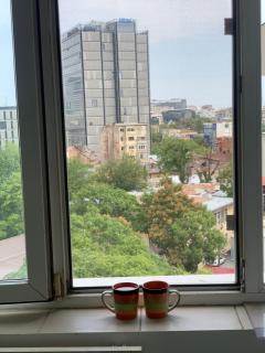 Charming Flat with Winter Garden Blending Classical Elegance and Modern Comfort - Bucarest - 7