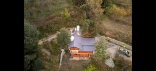 Simmy's Tree Cottage - 6