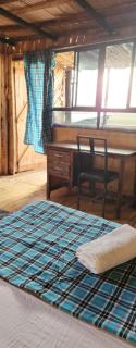 Mambo Game View - 5