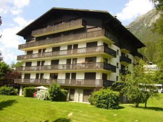 Studio Chamonix - Animaux Admis, Parking, Balcon - FR-1-517-27 - Chamonix-Mont-Blanc - 9