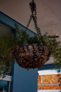 Pousada Flor de Caroá - 1