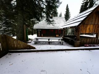 Chalet Stara Jelka Pokljuka - Zgornje Gorje - 1