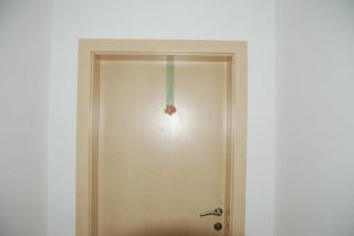 Ferienwohnung mit eigenem Balkon - Leogang - 1