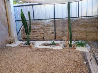 Cabaña Peralillo - 2