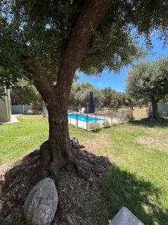 "Rincón de Olivos" Alojamiento entero en complejo con piscina - 0