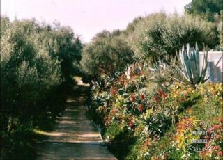 Villa Pierre Vergerie - Cargèse - 3
