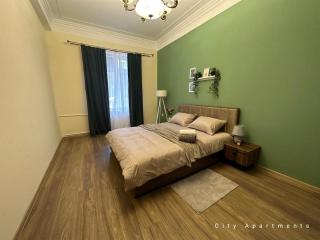 Ali&Nino City Centre Apartment - Bakoe - 8