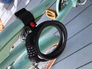 St Pete Modern Retro Oasis - 4