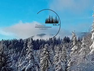 Domaine les lodges nature ,private wellness - Soultzeren - 4
