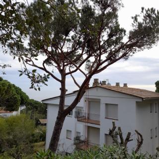 Charming apartment in Calella de palafrugell - Palafrugell - 8