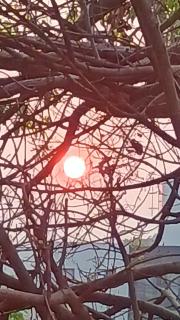 Refúgio na Floresta - 6