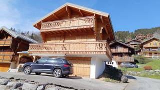 Chalet Les Hautes Cimes - Châtel - 0