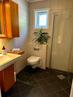 Granåsen ski-VM - Trondheim - 2