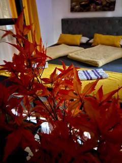 Apartments Mehić - Mostar - 1