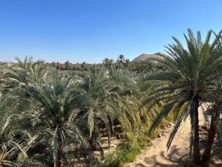 El-Beit - Siwa - 5