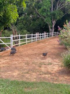 SITIO EM RIO NOVO - MG RANCHO - Lindo! - Rio Novo - 8