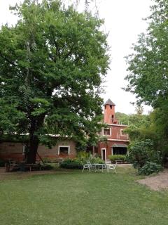 Waldhaus, la casa del bosque PA - 2