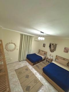 A Cozy, Pet-Friendly 2BR Spacious basement Maadi - Cairo - 7